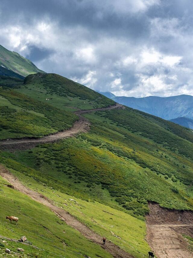 Хребет Айбга — экскурсия из Сочи